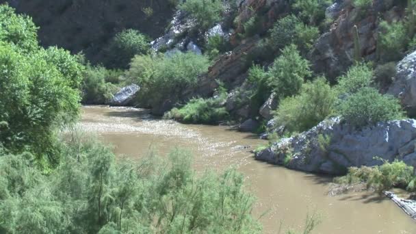 Zout rivier in Arizona — Stockvideo