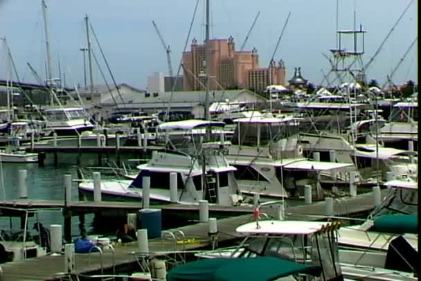 Marina sur les îles Bahamas — Video