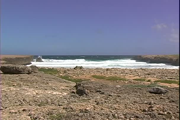 Costa Norte da ilha de Aruba — Vídeo de Stock