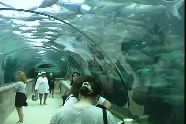 Атлантіс підводний тунель — стокове відео