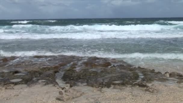 North Shore med vågor på Aruba — Stockvideo