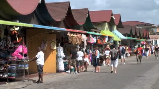 Stro markt op Aruba — Stockvideo