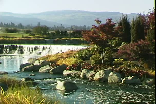 Arroyo del río con cascada en el fondo — Vídeo de stock