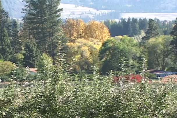 Campo de Kelowna no Canadá — Vídeo de Stock