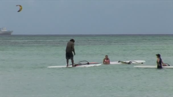 Planche à voile nage dans l'océan — Video