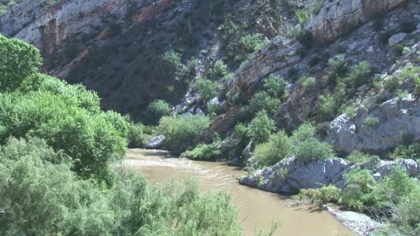 Salt River en Arizona — Vídeos de Stock