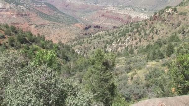 Salzfluss in der Schlucht in arizona — Stockvideo