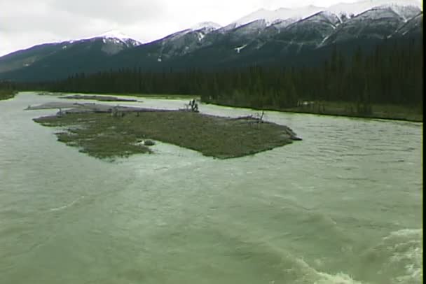 Fiume nel Parco Nazionale di Kootenay — Video Stock