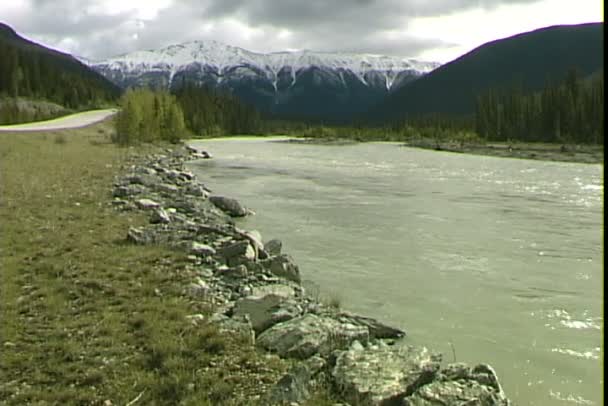 Řeka v národním parku Kootenay — Stock video