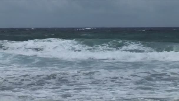 North Shore ile dalgalar üzerinde Aruba — Stok video