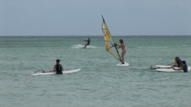 Windsurfistas nadan en el océano — Vídeo de stock