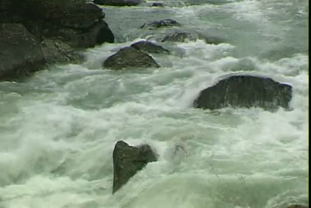 Arroyo del río en montañas — Vídeos de Stock