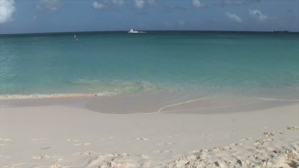 Beach Aruba üzerinde okyanus kıyısında — Stok video
