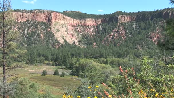 Prairie, fleurs et falaise — Video