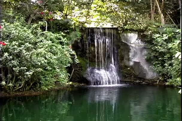 Bella cascata sulle isole Bahamas — Video Stock