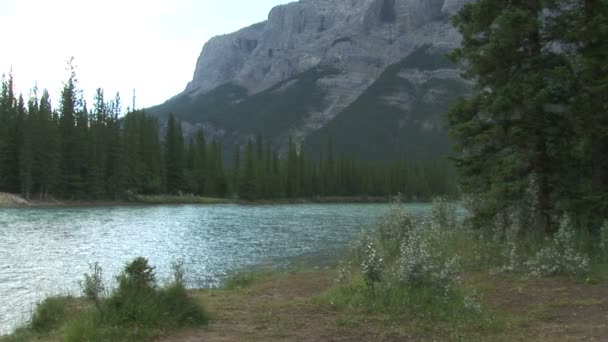 Bow River i Kanada — Stockvideo