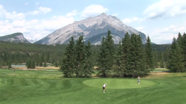 Campo de golf con jugadores — Vídeo de stock