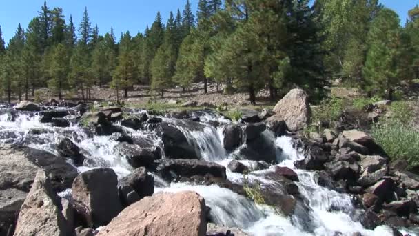 Proud v kameny na břehu jezera Pinetop — Stock video