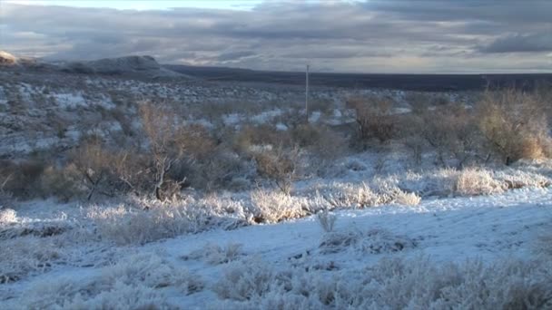 Χιονισμένο έρημο της Αριζόνα — Αρχείο Βίντεο