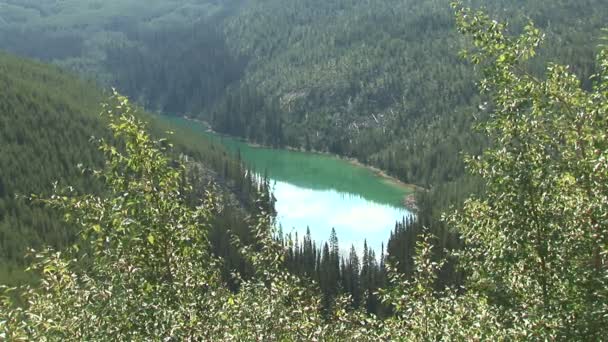 Lake in het Kootenay nationale Park — Stockvideo