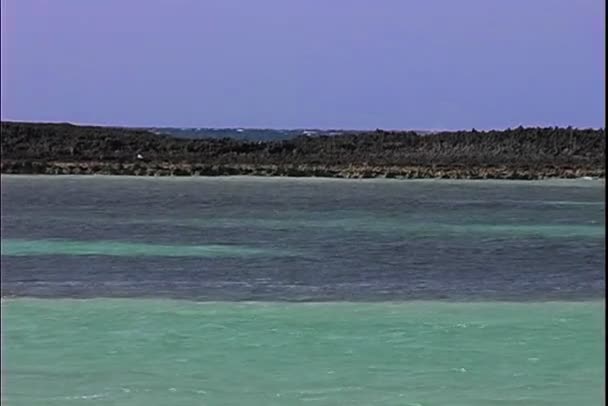 波浪拍打海岸 — 图库视频影像