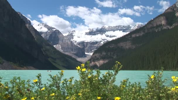 Flores no Lago Louise — Vídeo de Stock