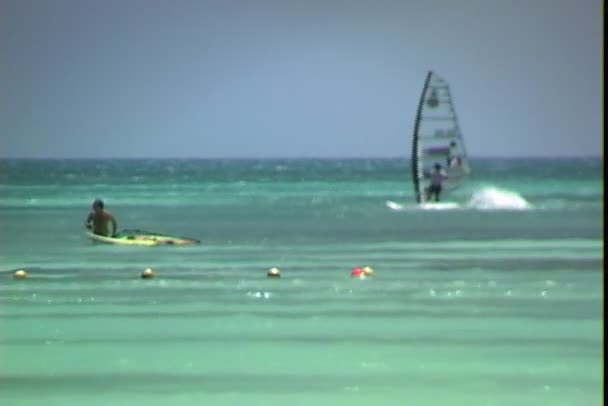 Windsurfingu pływa w ocean — Wideo stockowe