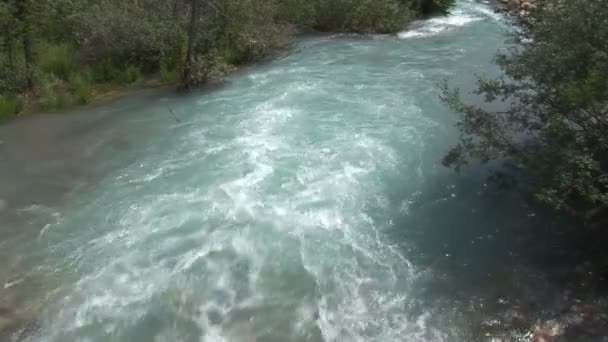 Lake Louise akışından — Stok video