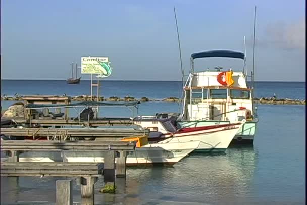 Статут човні в Марина — стокове відео