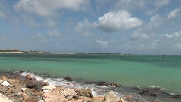 Rocky Shore en Aruba — Vídeos de Stock