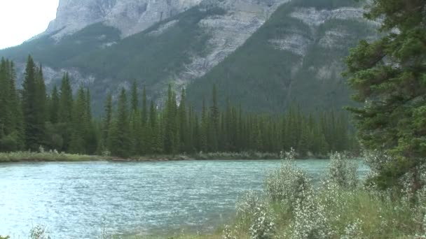 Río Bow en Canadá — Vídeo de stock