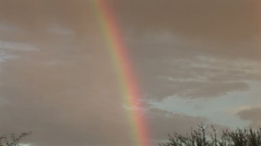 Gökkuşağının üstünde Tucson şehir