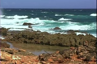 Ironshore Aruba Island üzerinde