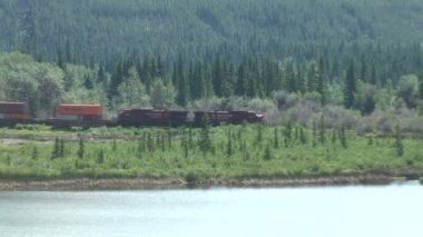 Demiryolu tren sürmek