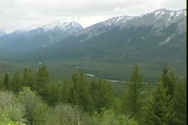 Vadi Kootenay Milli Parkı'nda