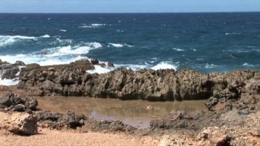 Ironshore Aruba Island üzerinde