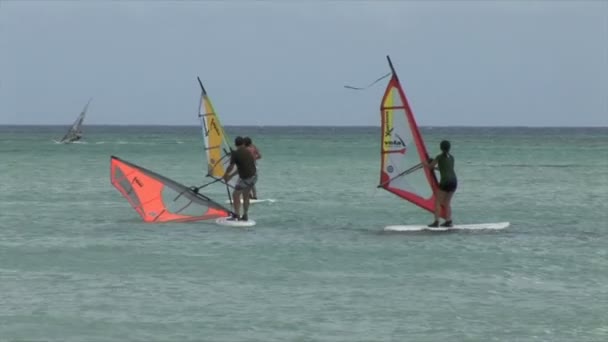 Windsurfistas nadan en el océano — Vídeo de stock