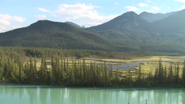 Bow River i Kanada — Stockvideo