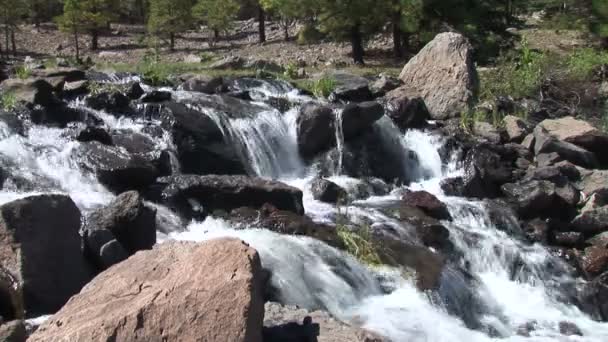 Fluxo em pedras em Pinetop-Lakeside — Vídeo de Stock