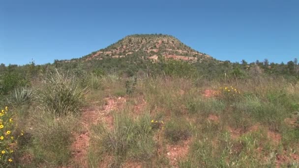 Sterlina naturale in Arizona — Video Stock