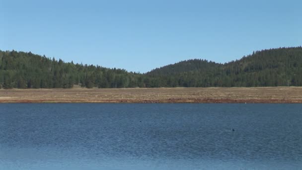 湖水和岸在白山湖畔 — 图库视频影像