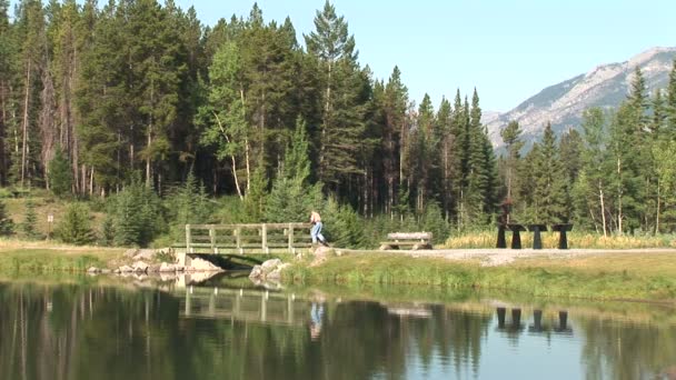 Fußgängerbrücke am johnson lake — Stockvideo