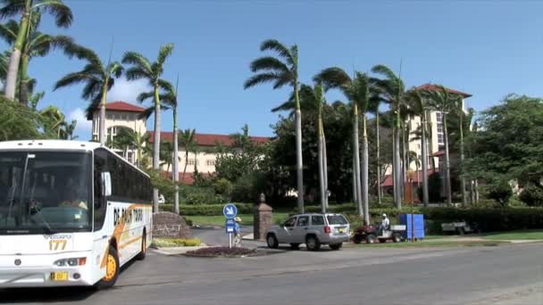 Hyatt Hotel en Aruba — Vídeo de stock