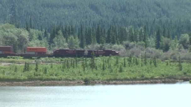 Balades en train sur rail 