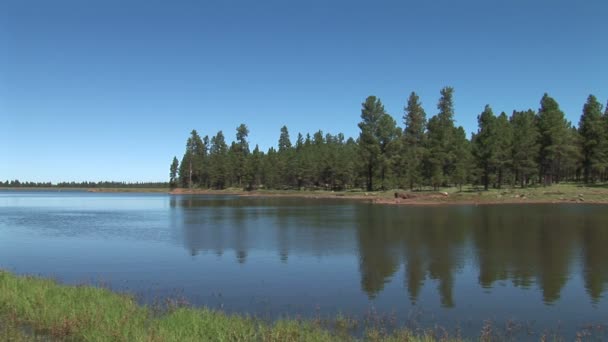 Lac et rivage à Pinetop-Lakeside 
