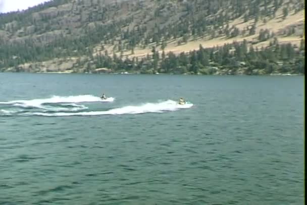 Waverunners nadando no lago — Vídeo de Stock
