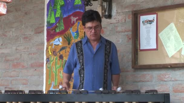 Marimba-Spieler in arizona — Stockvideo