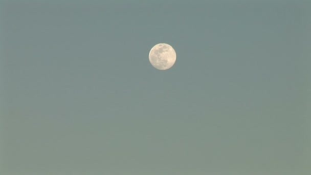 Luna llena en el cielo en el desierto — Vídeo de stock