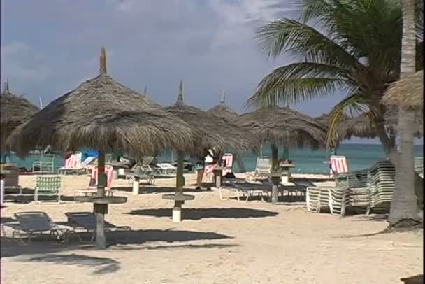 Playa de arena en Aruba — Vídeo de stock