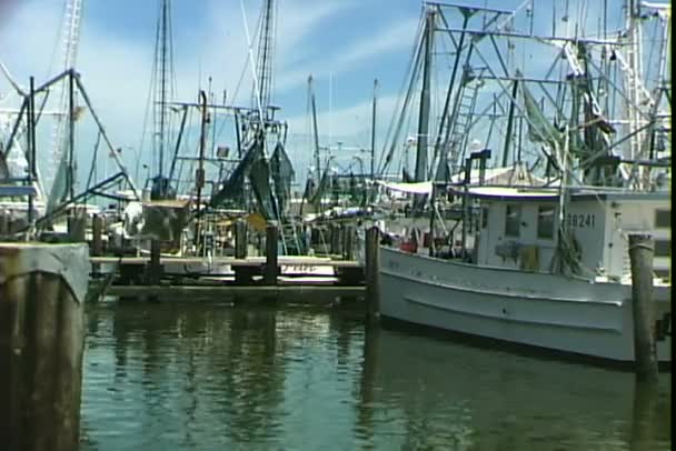 Shimp csónakok a port of New Orleans — Stock videók